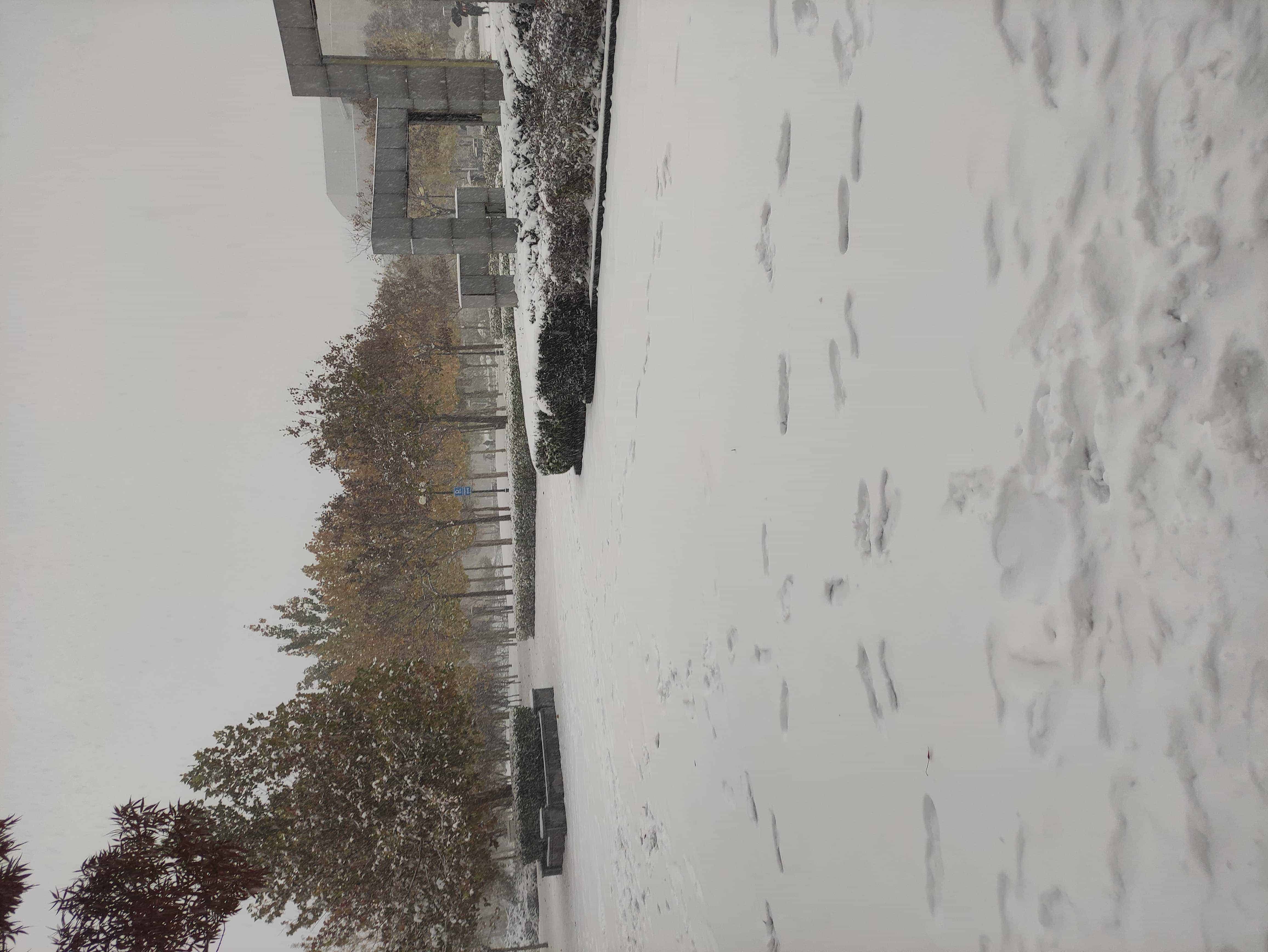 雪