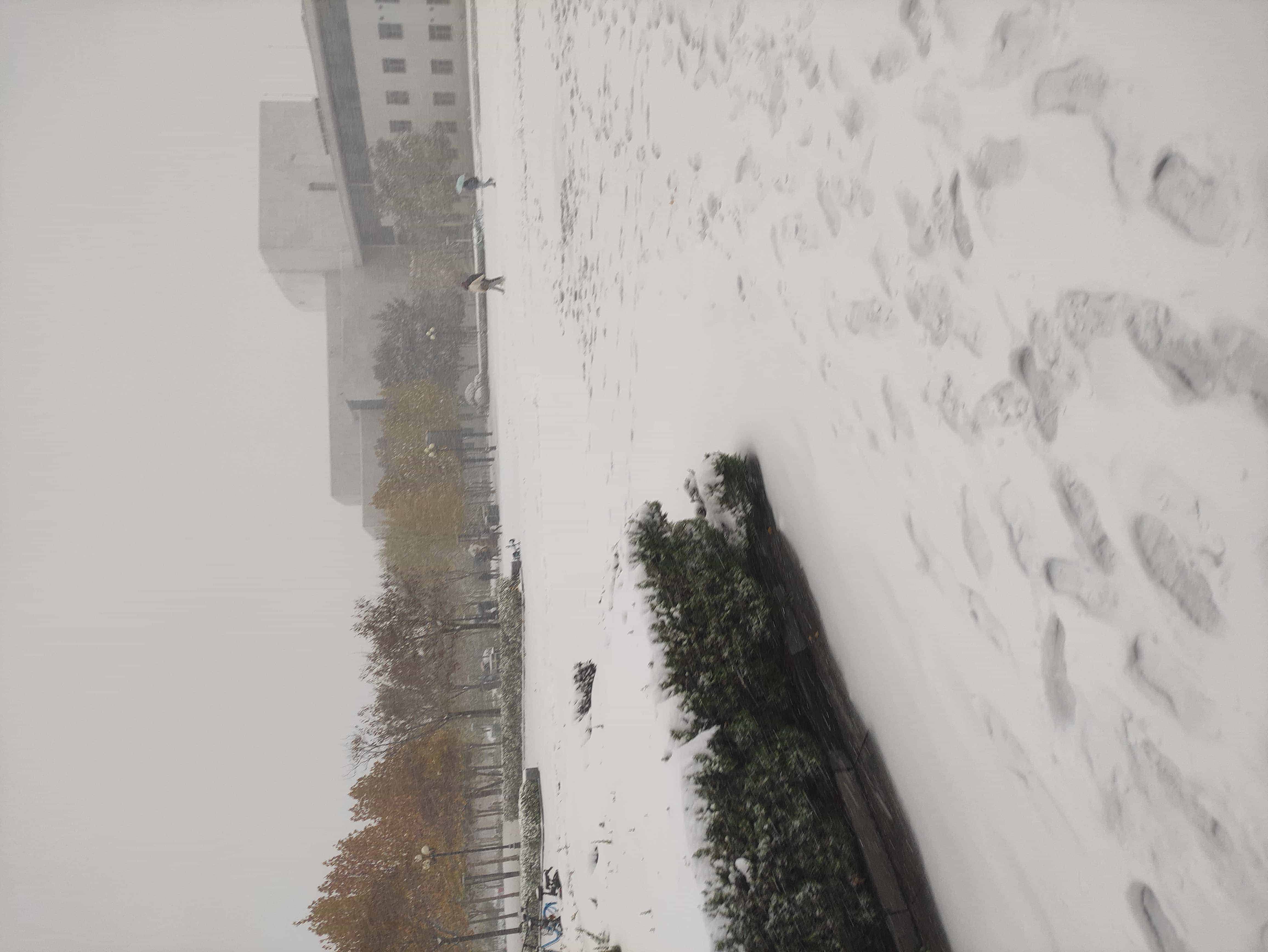 雪