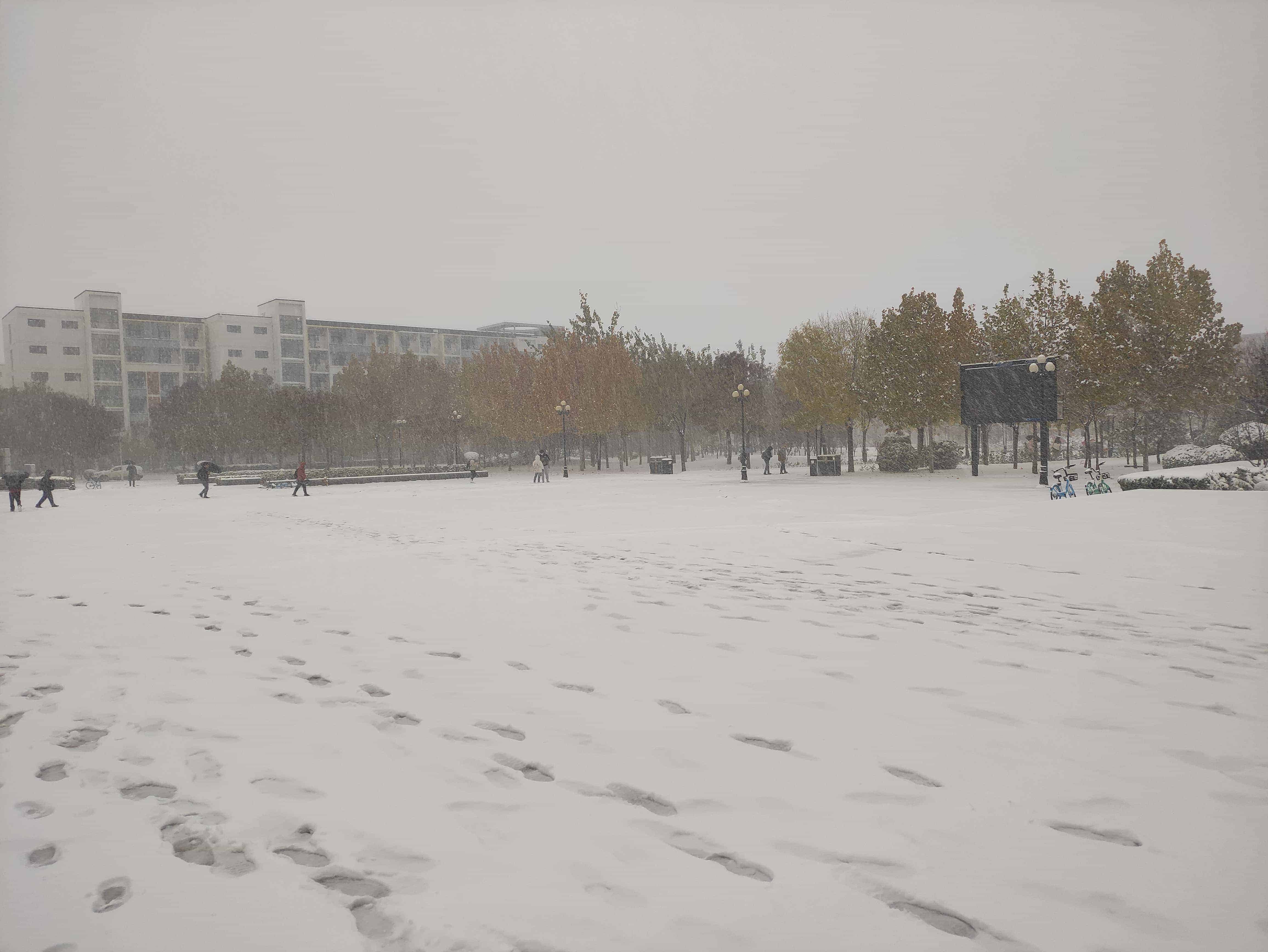 雪