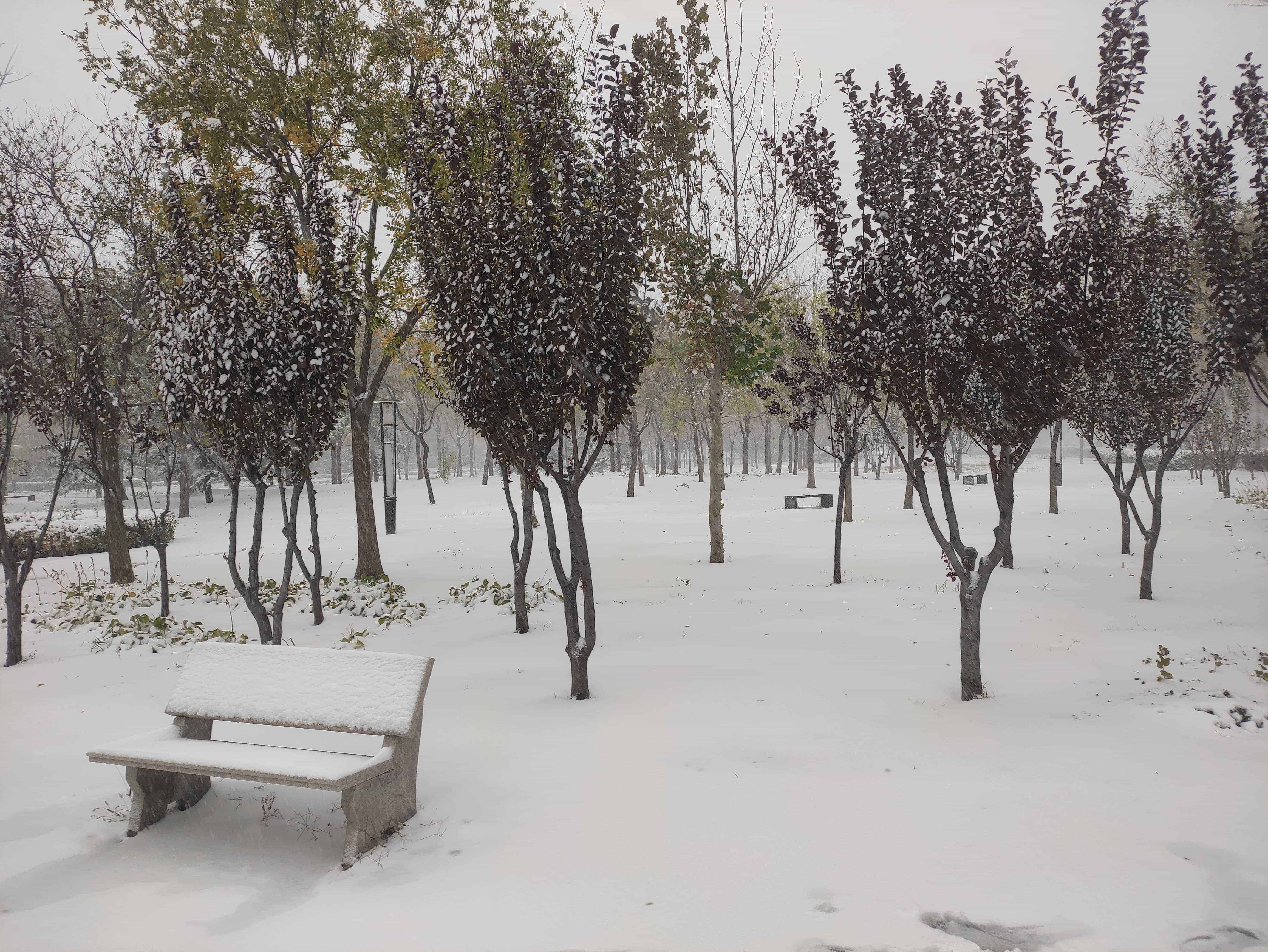 雪
