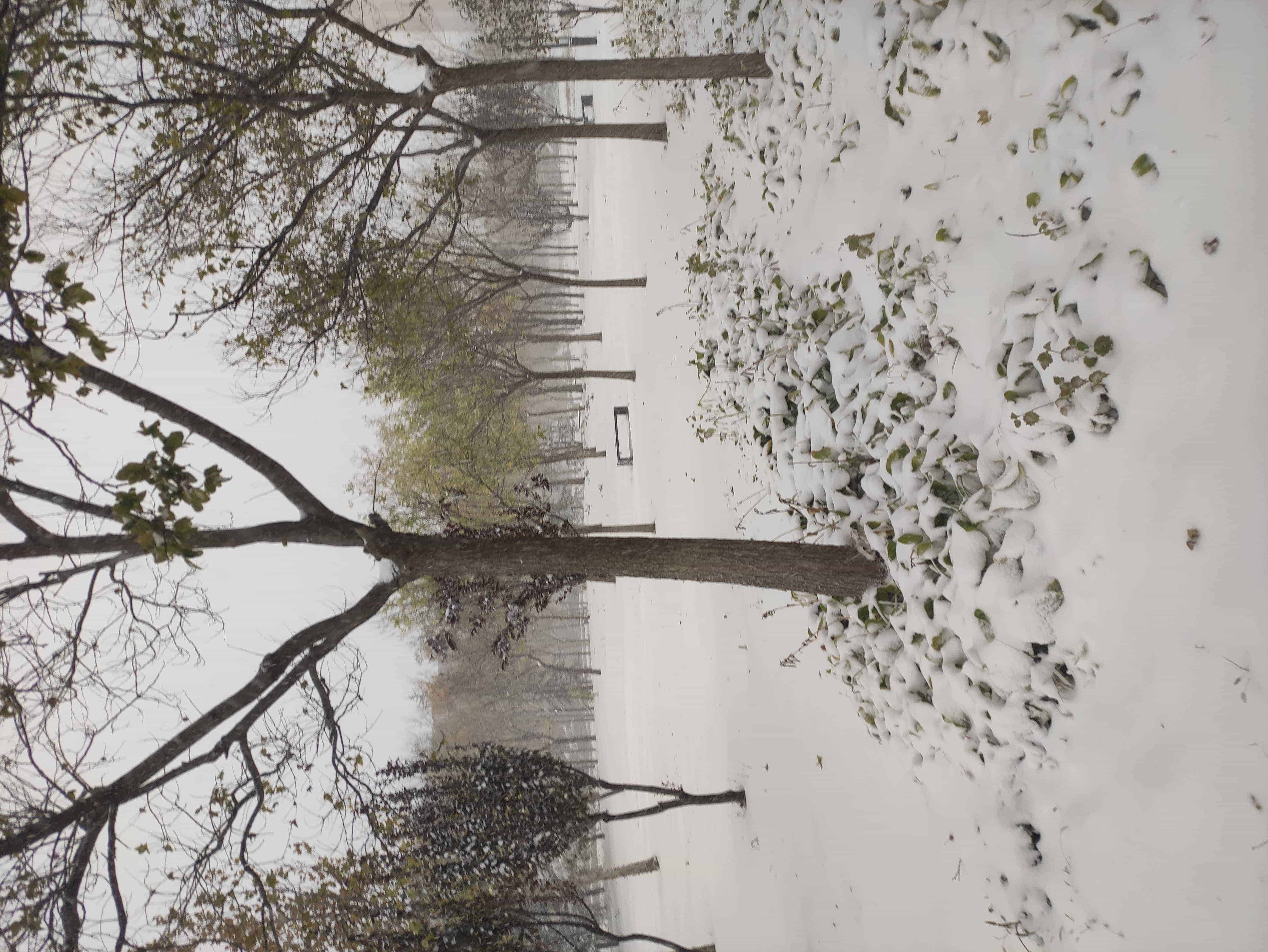雪