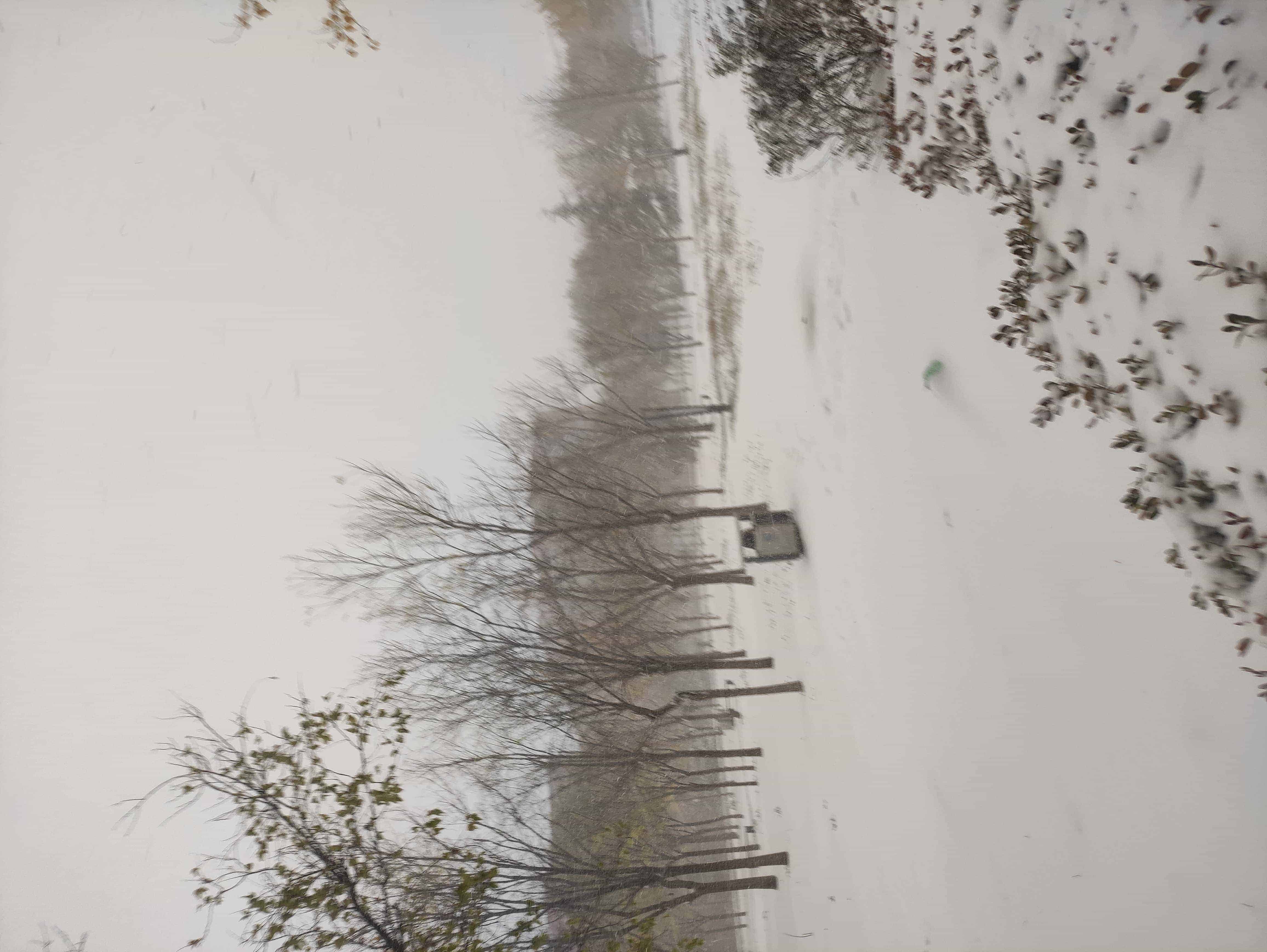 雪