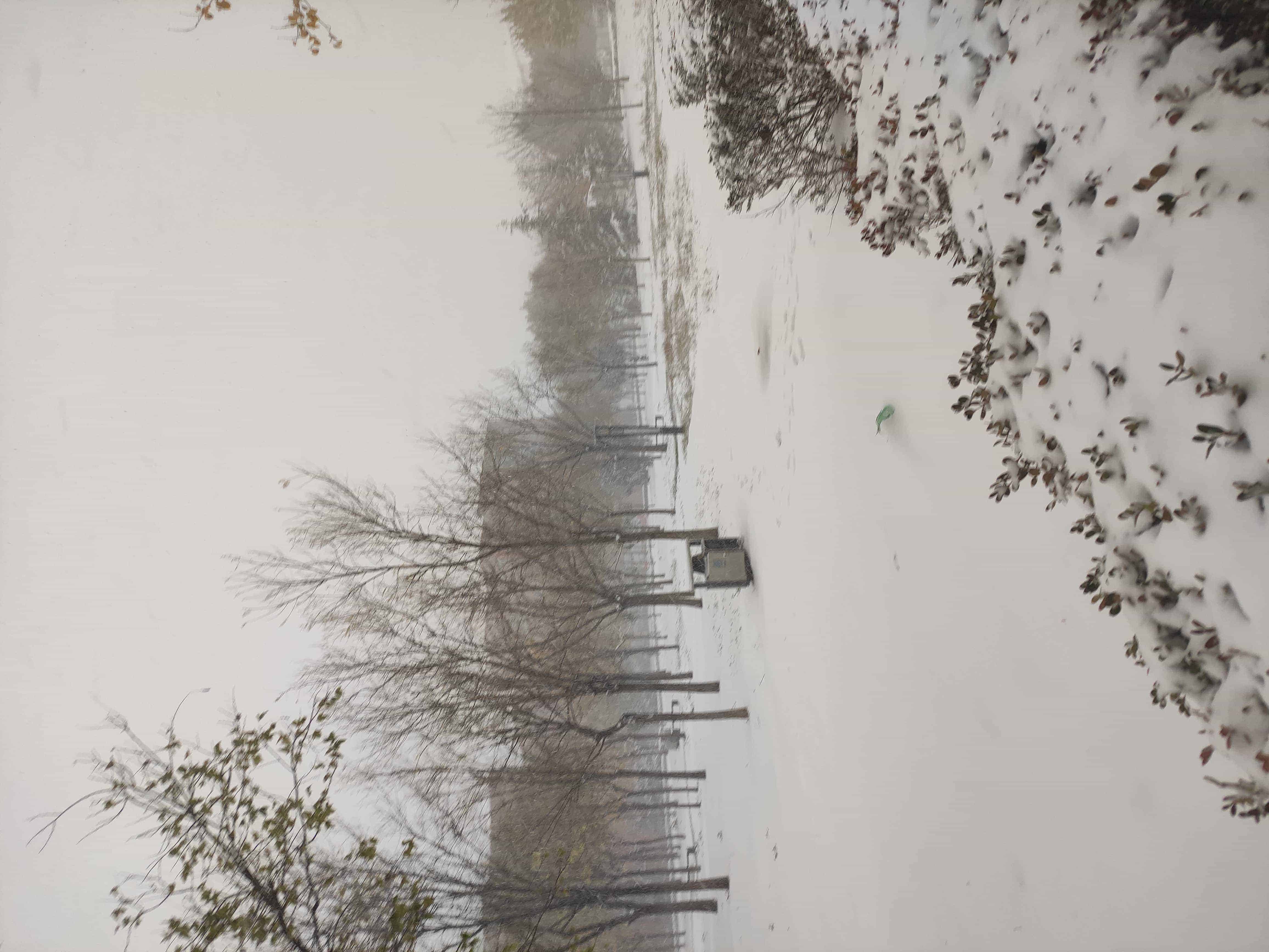 雪
