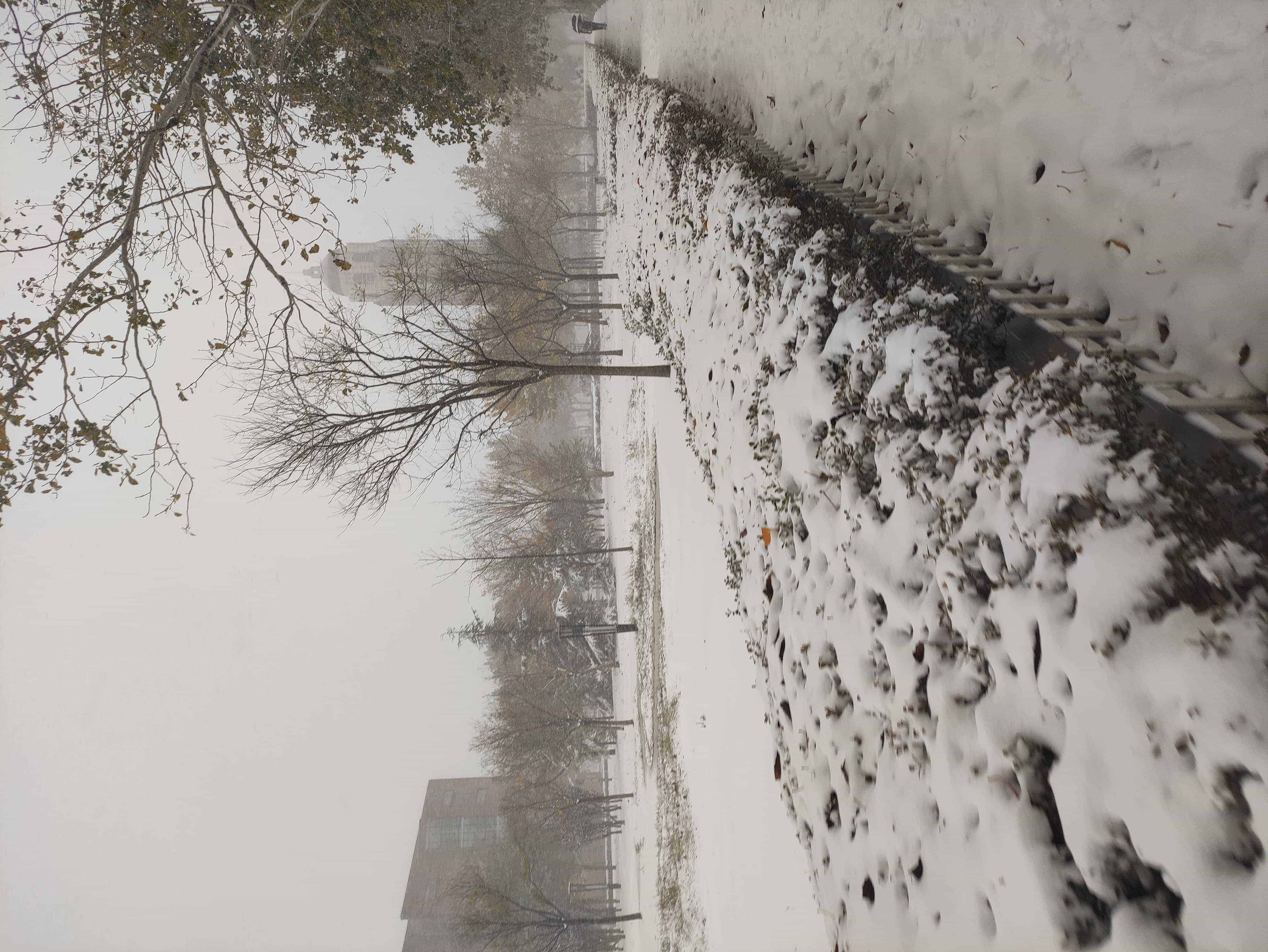 雪
