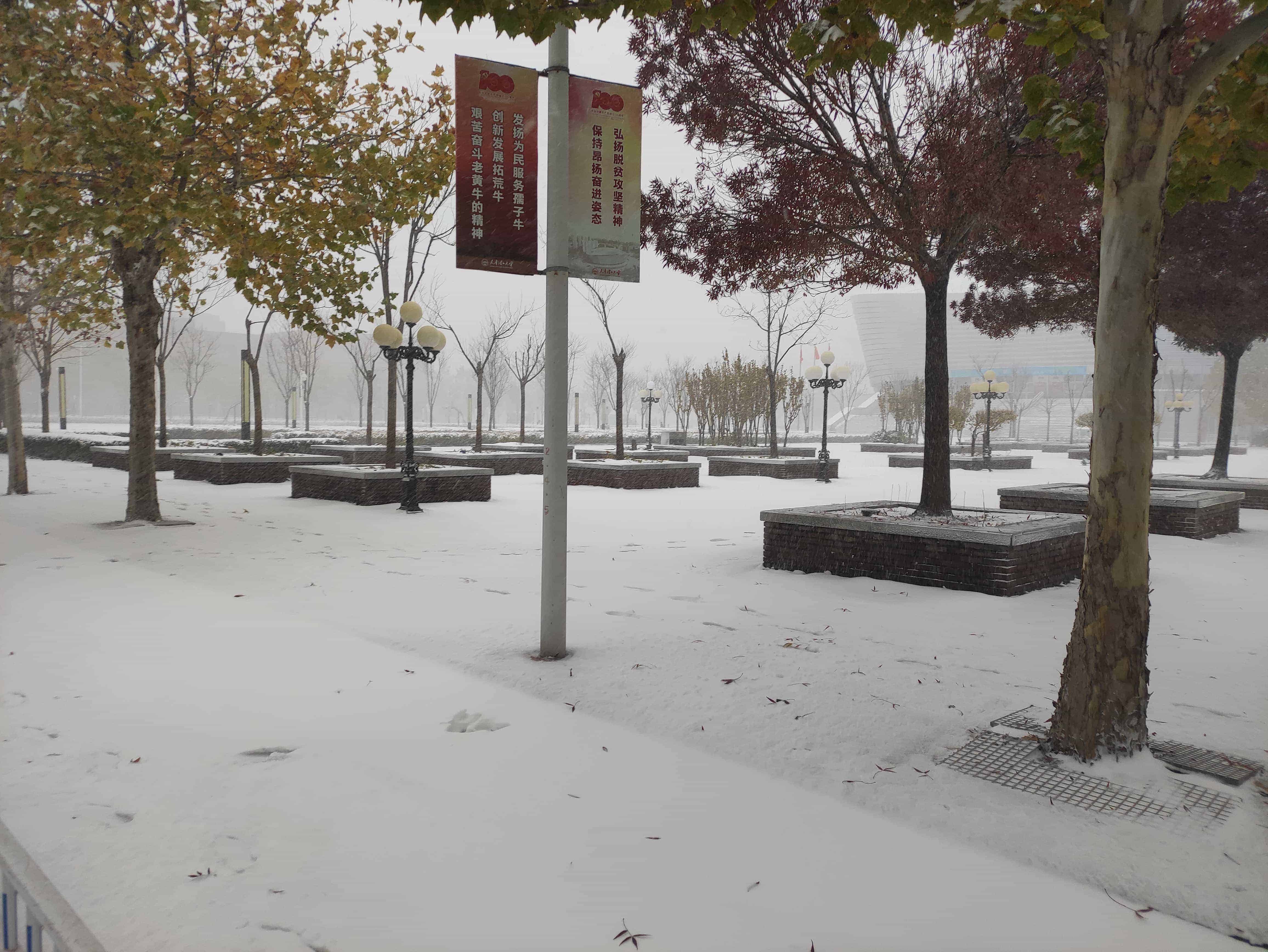 雪