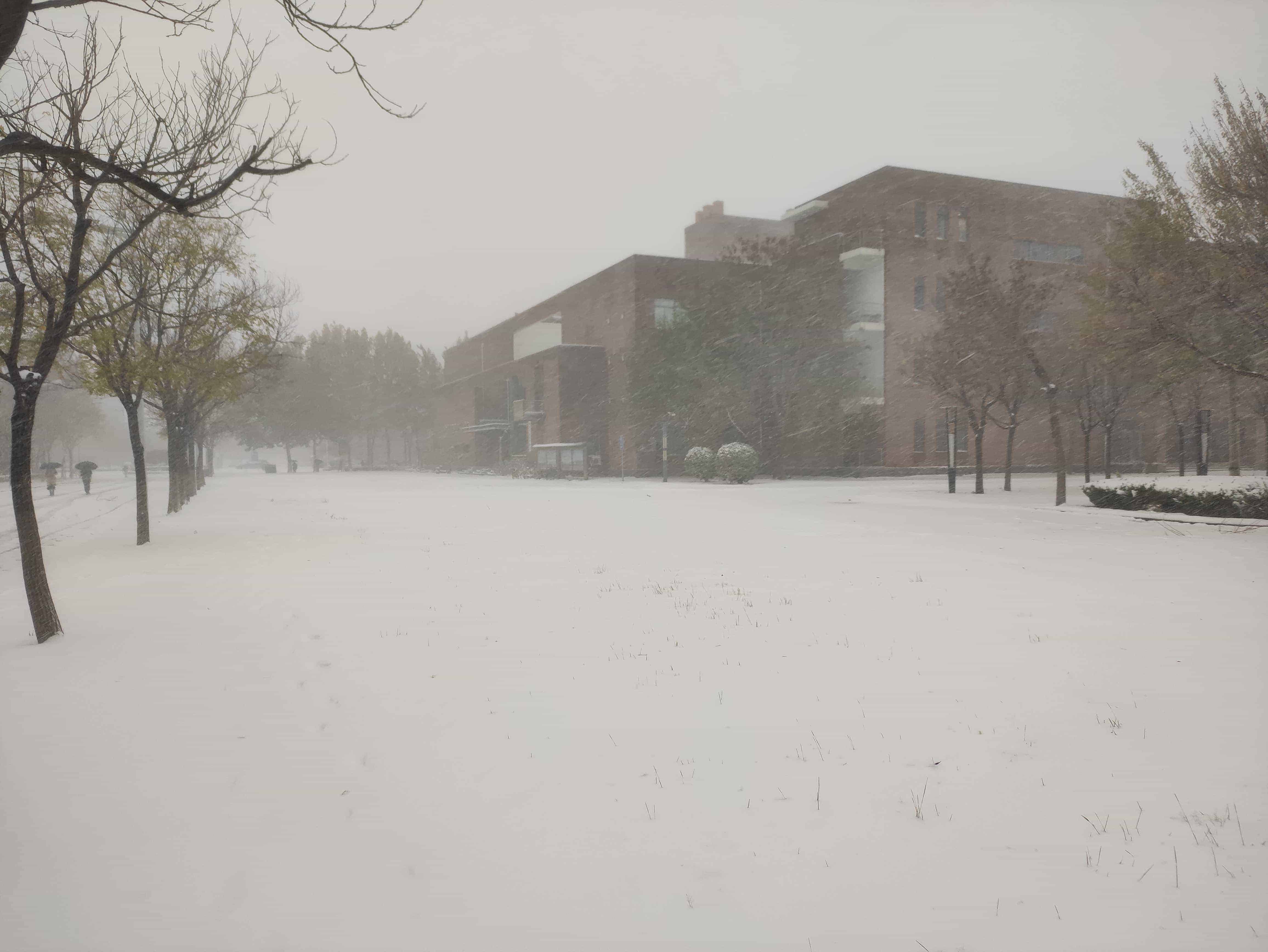雪