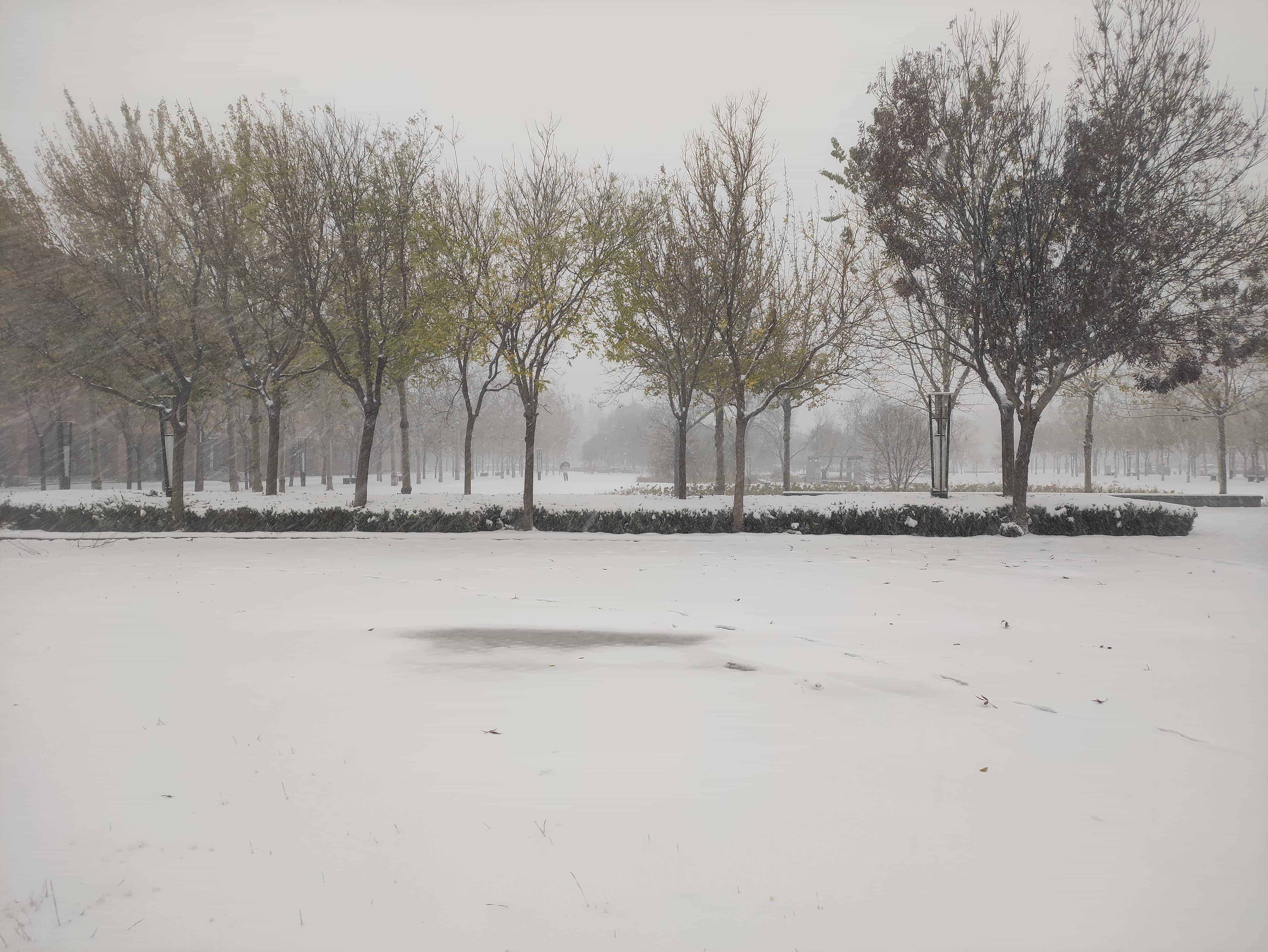 雪