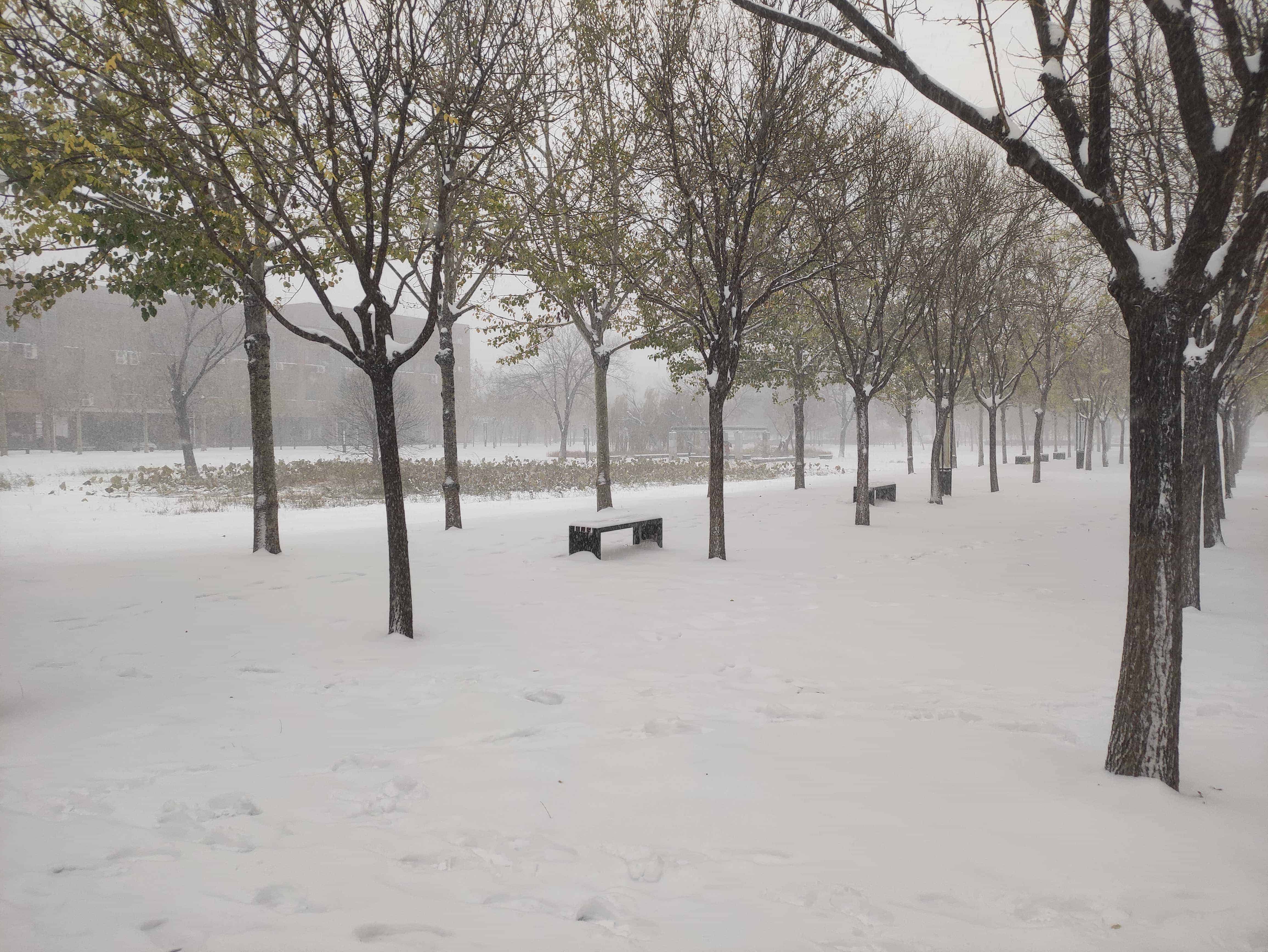 雪