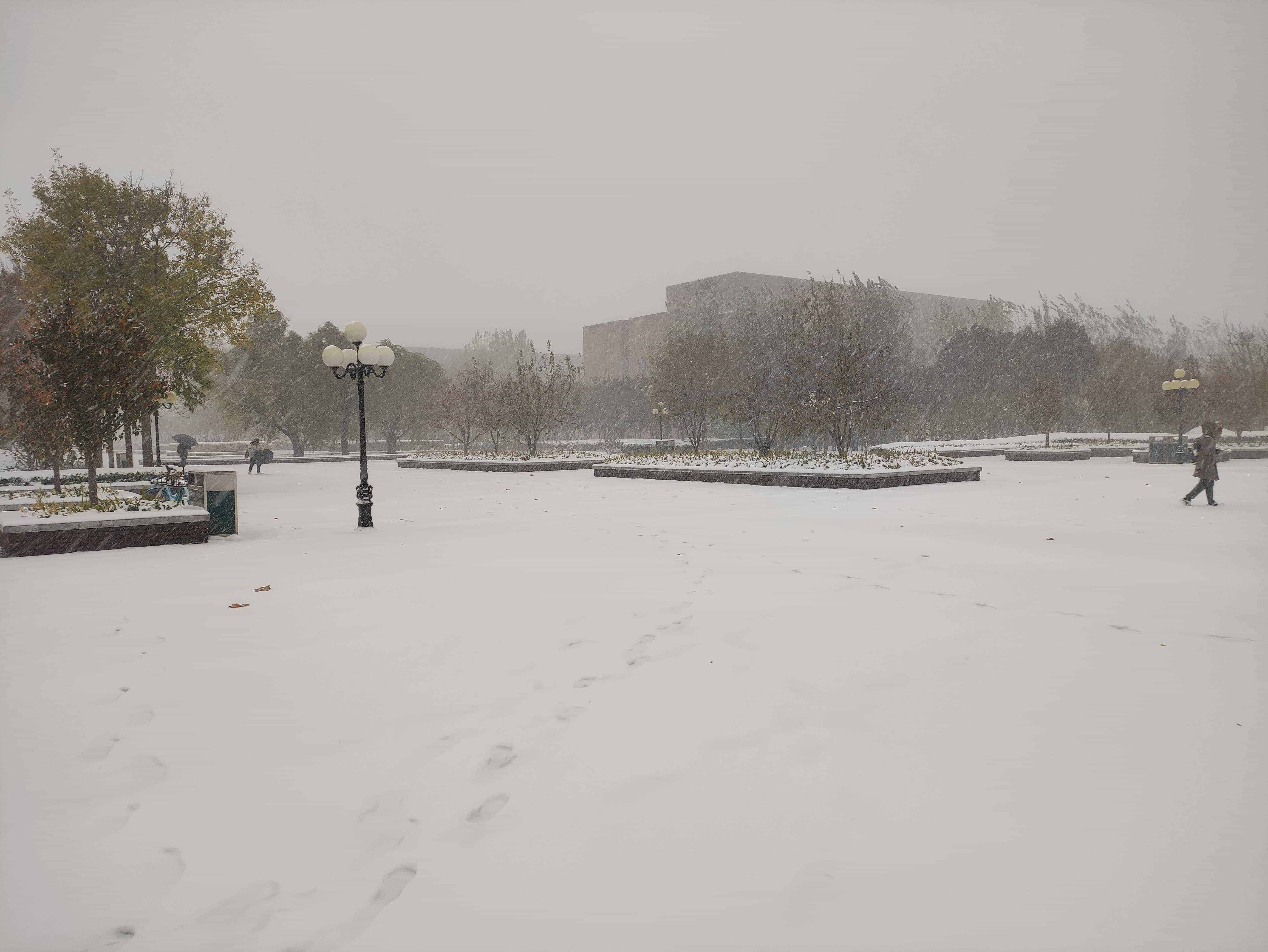 雪