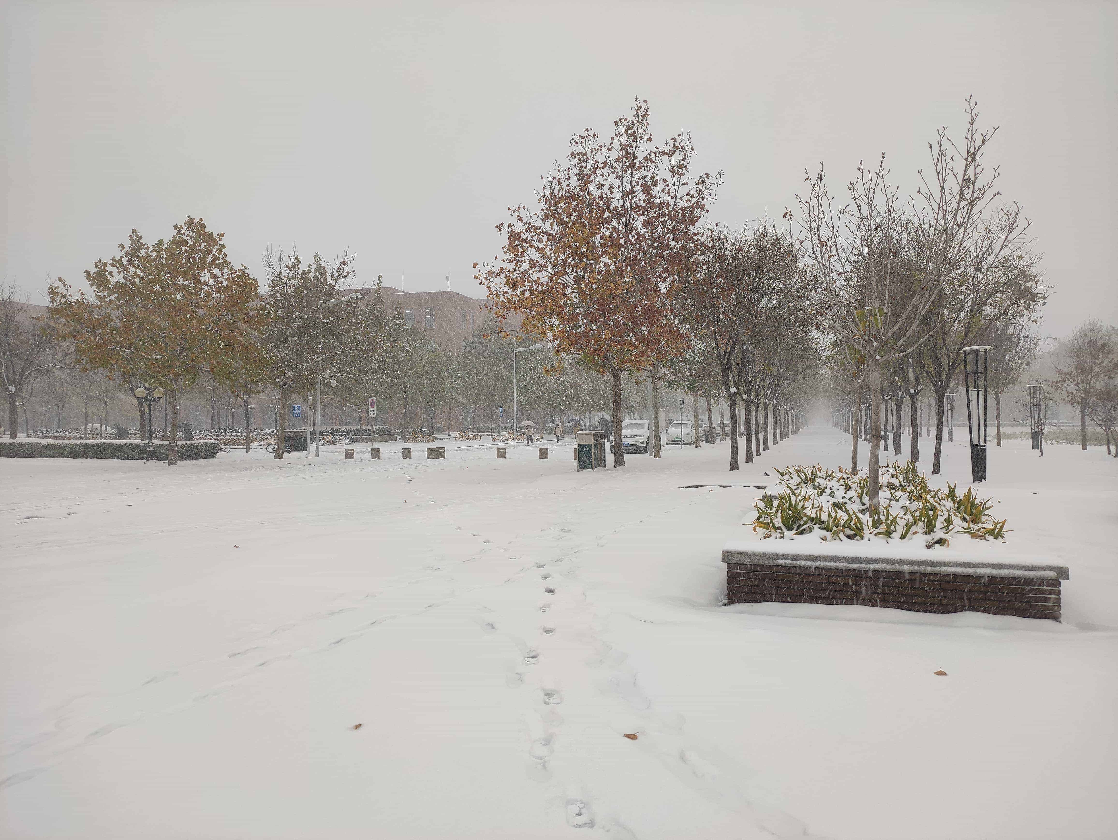 雪