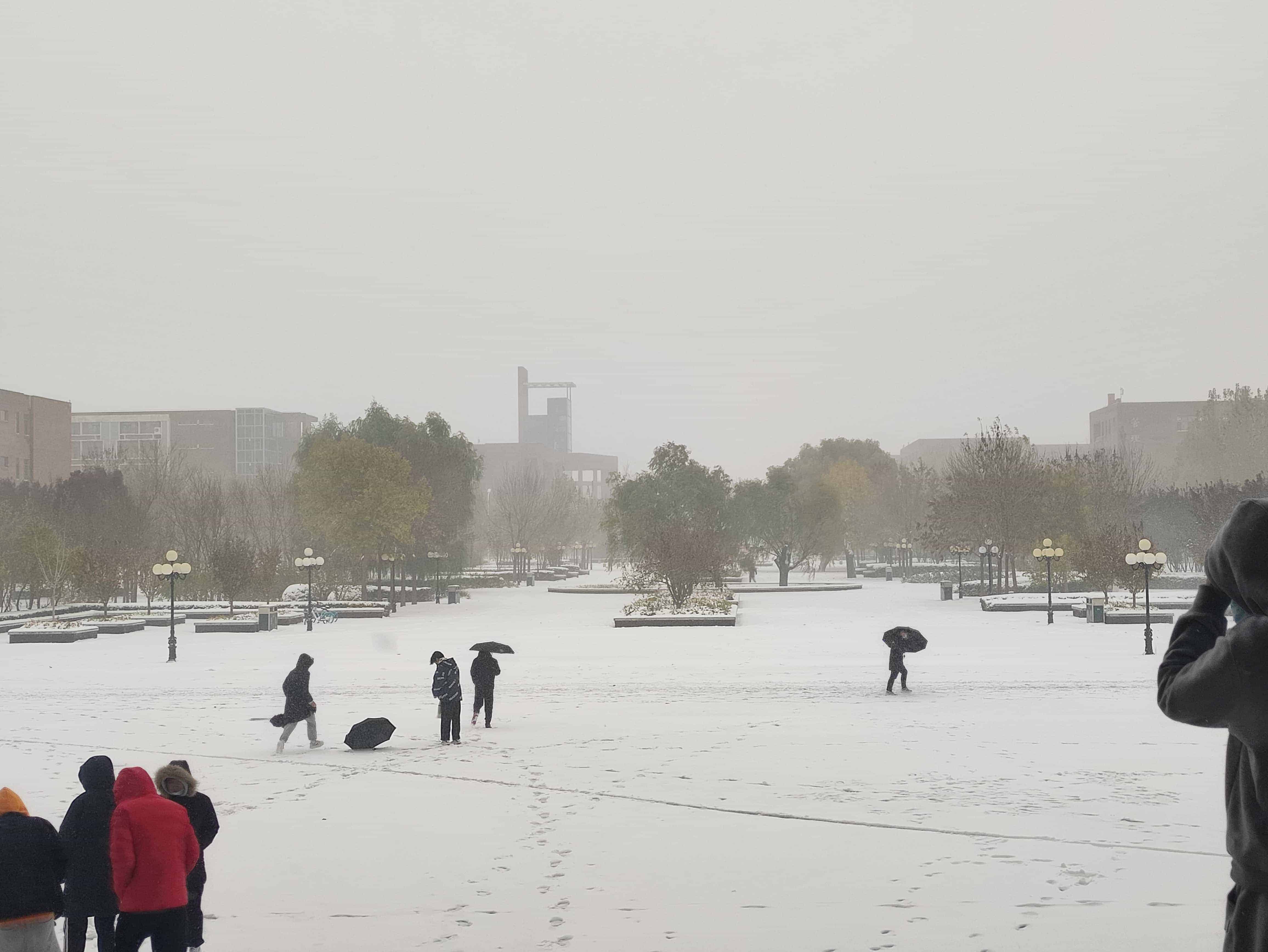 雪