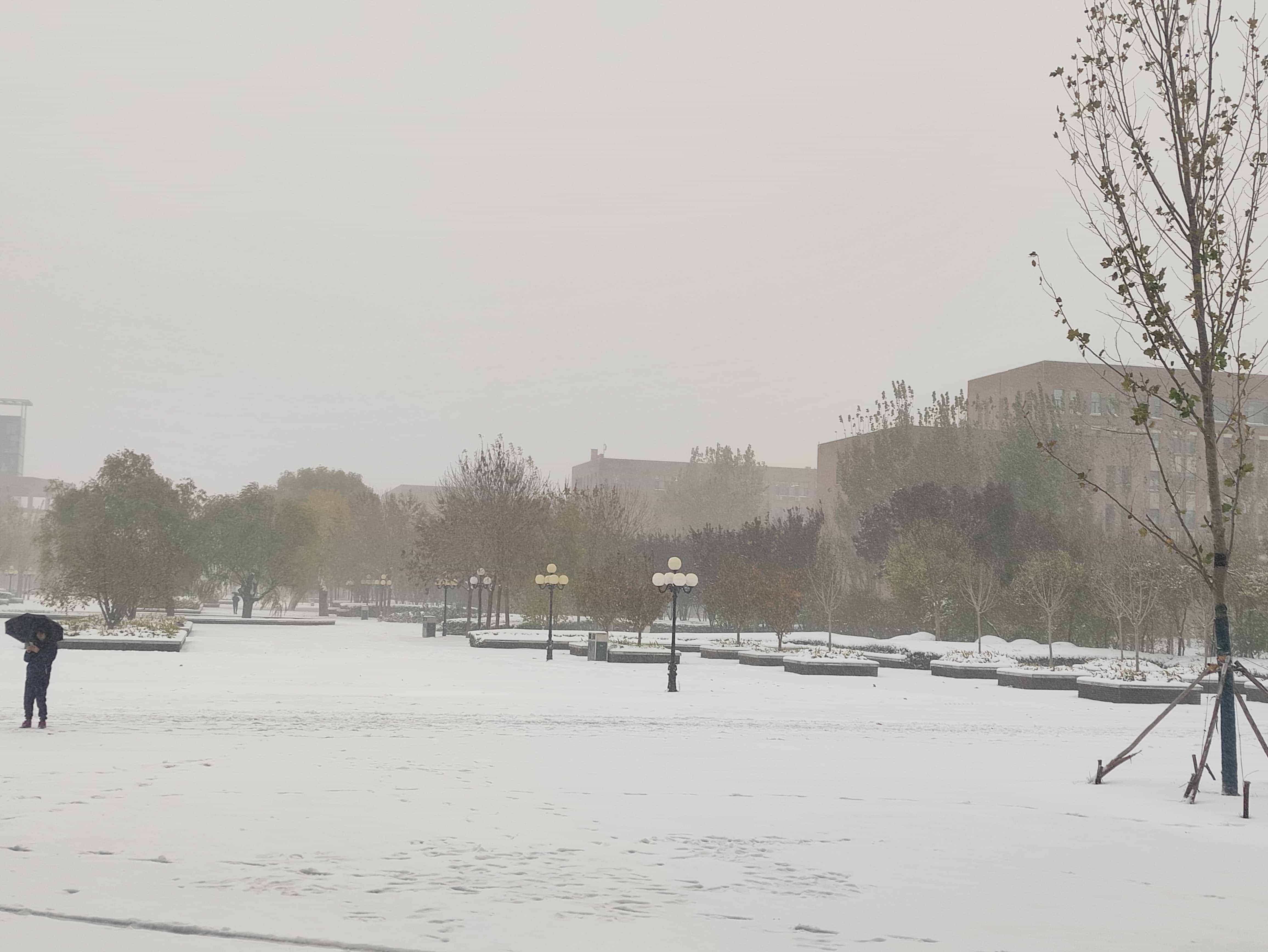 雪