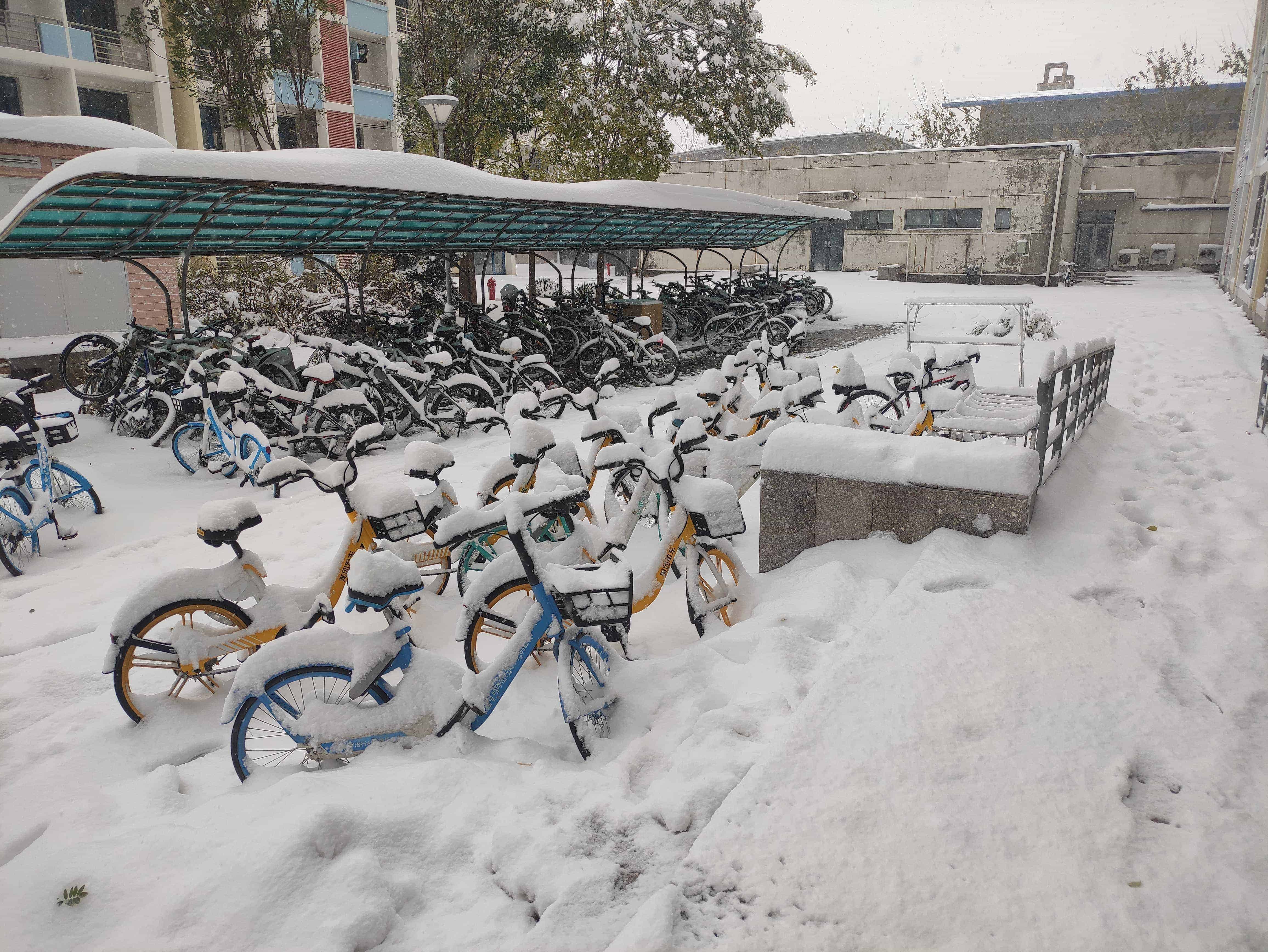 雪