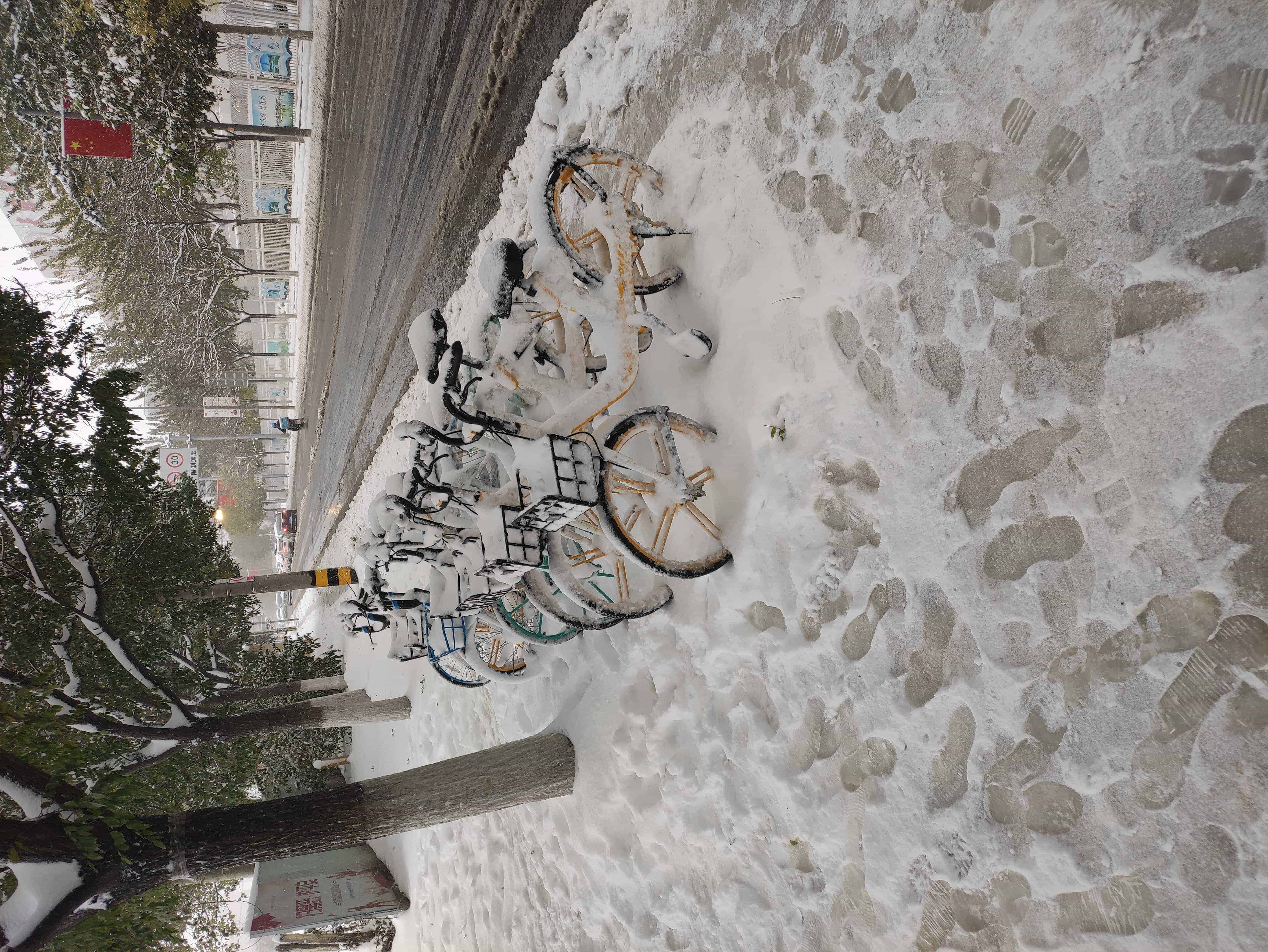 雪