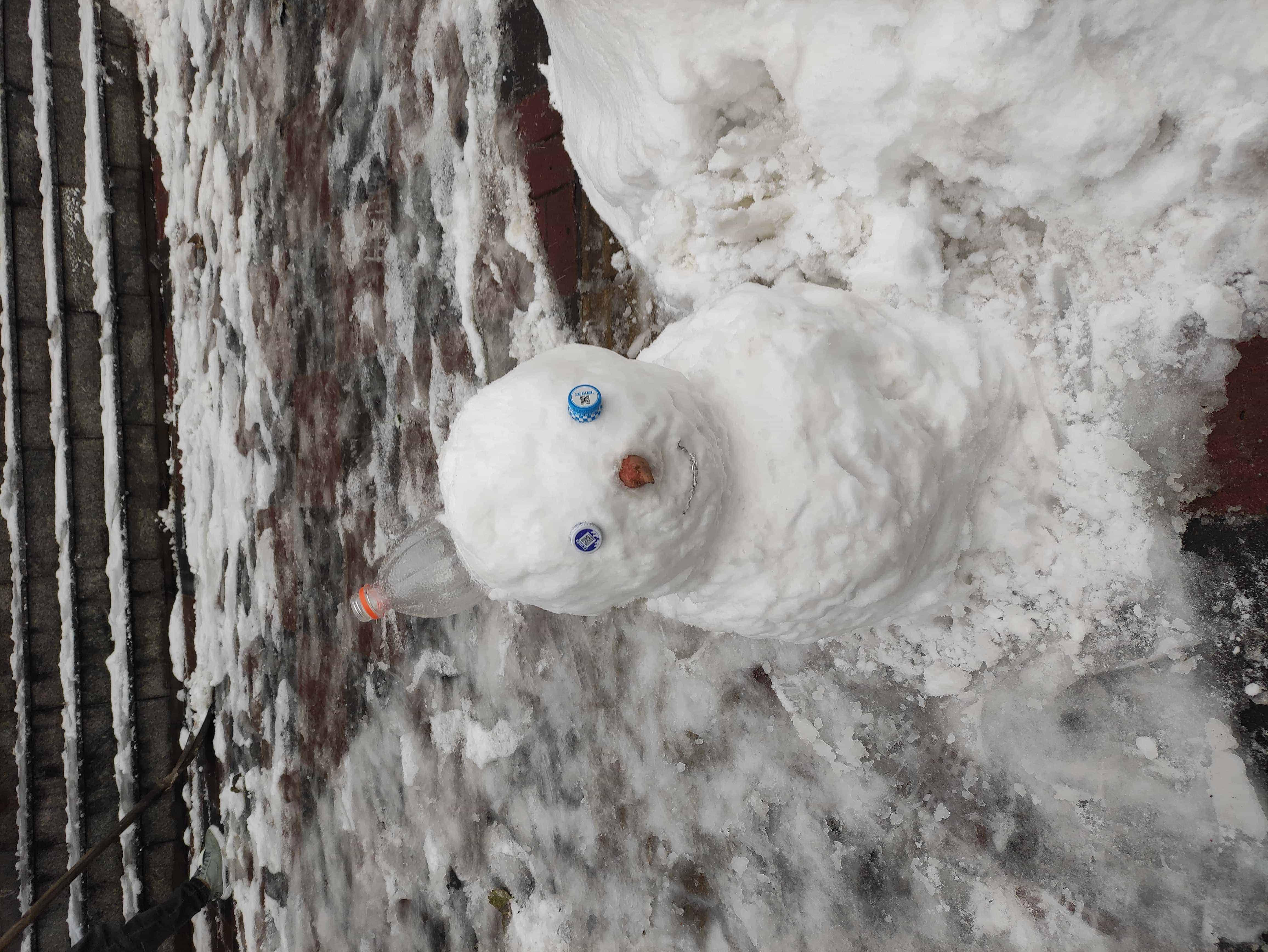 雪